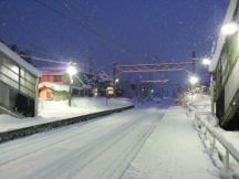 42314-1.jpg