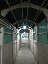 42314-2.jpg