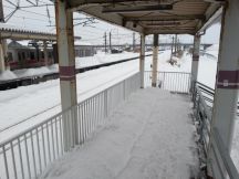 42332-3.jpg