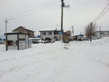 42333-5.jpg