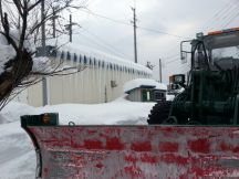 42338-6.jpg