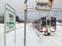 42338-8.jpg