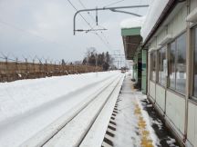 42344.jpg