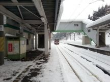 42348.jpg