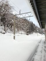 42349-2.jpg