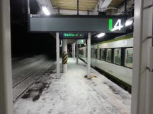 42362.jpg