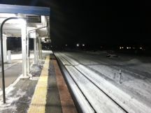 42365-1.jpg