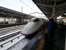 42409.jpg