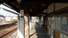 42431-5.jpg