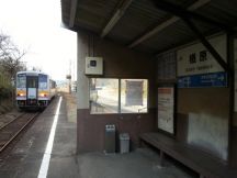 42438-3.jpg