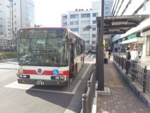 42480.jpg