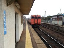 42562.jpg