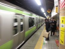42577.jpg