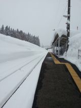 42593-6.jpg