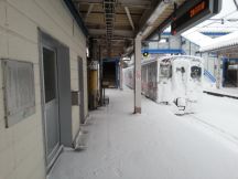 42619.jpg