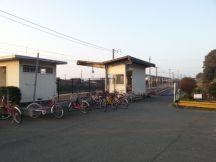 42749-3.jpg