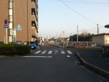 42752-5.jpg