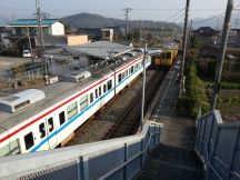 42753-6.jpg