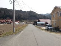 42765-5.jpg