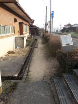 42774-2.jpg