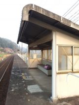 42791-1.jpg