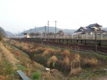42791-5.jpg