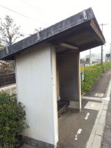 42792-1.jpg
