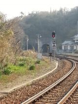 42796-3.jpg