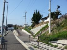 42799-3.jpg