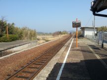 42804-1.jpg
