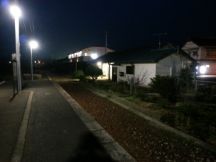 42833-1.jpg