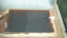 42853-4.jpg