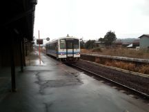 42856.jpg