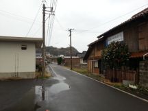 42859-5.jpg