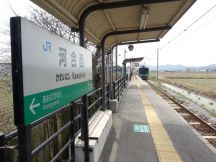 42901.jpg