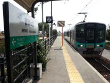 42904-6.jpg