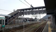42921-1.jpg