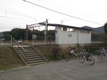 42935-4.jpg