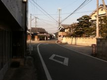 42948-6.jpg
