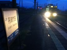 42955-7.jpg