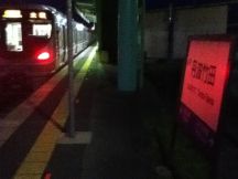 42955.jpg