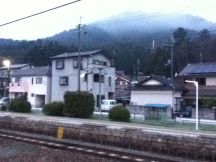 42956-1.jpg