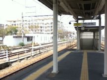 42973-2.jpg