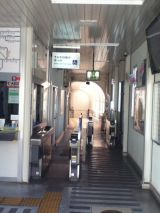 42973-3.jpg