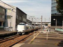 42977-5.jpg