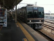 42979.jpg