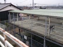 43000-1.jpg