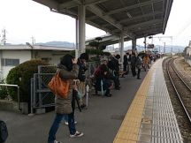 43001-1.jpg