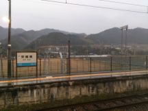 43019-2.jpg
