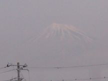 43032.jpg